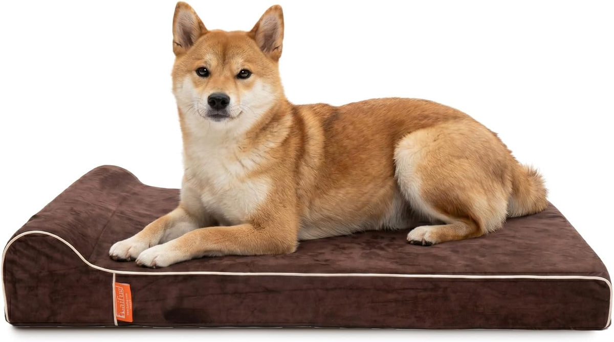 Orthopedic Dog Bed, Slate Grey 50''x36''x10'', Memory Foam