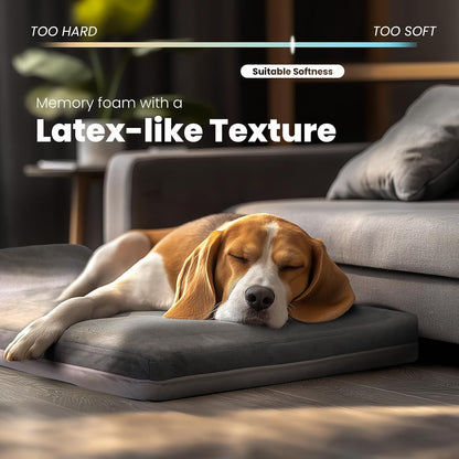 Orthopedic Dog Bed, Slate Grey 50''x36''x10'', Memory Foam