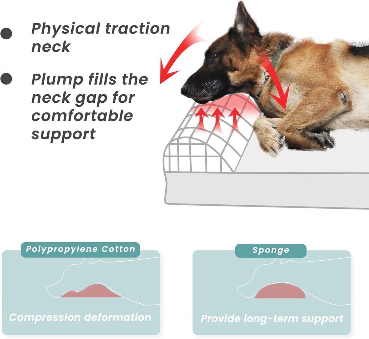 Orthopedic Dog Bed, Slate Grey 50''x36''x10'', Memory Foam