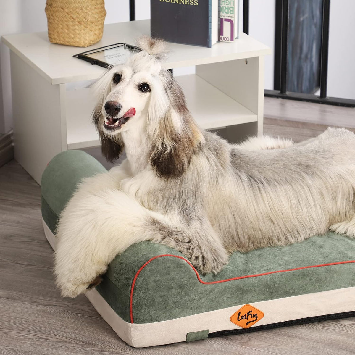 Orthopedic Dog Bed, Slate Grey 50''x36''x10'', Memory Foam
