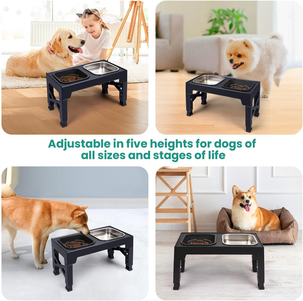 Elevated Dog Bowls with 2 Stainless Steel Dog Food Bowls, Raised Dog Bowl Adjusts to 5 Heights (3.15", 8.66", 9.84",11.02", 12.2") for Small Medium and Large Dogs
