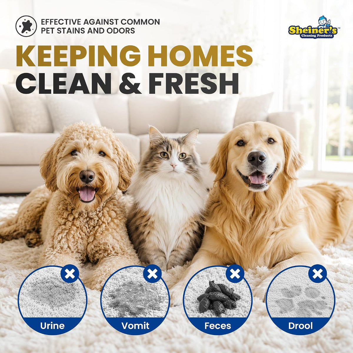 Pet Urine Enzyme Cleaner & Pet Stain & Odor Remover, Advanced Enzymatic Cleaner Solution for Carpets, Rugs, Upholstery & Multi-Surfaces, Safe for Pets & Kids. (128 oz)