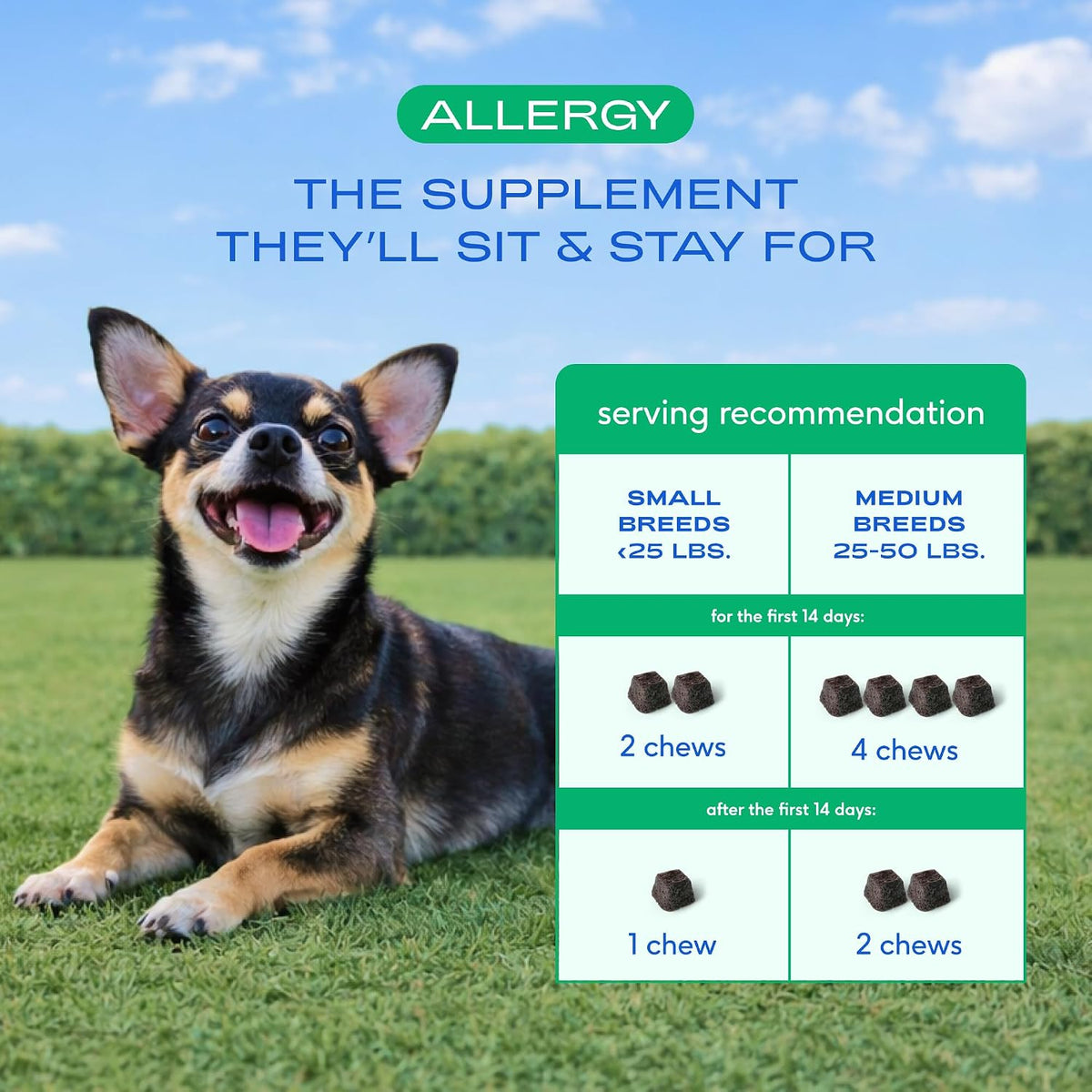 Dog Allergy Chews for Medium Breeds - Itchy Skin and Seasonal Itch Support - Colostrum, Probiotics, Spirulina - 30 Chews