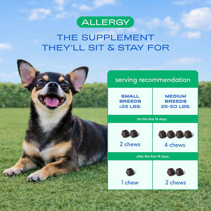 Dog Allergy Chews for Medium Breeds - Itchy Skin and Seasonal Itch Support - Colostrum, Probiotics, Spirulina - 30 Chews