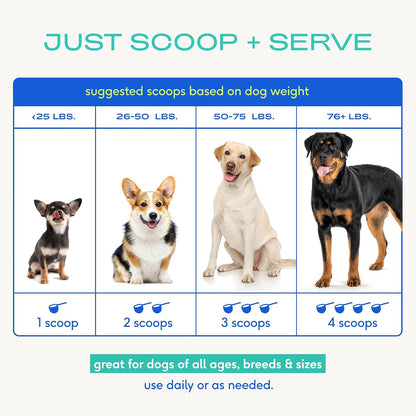 Dog Allergy Chews for Medium Breeds - Itchy Skin and Seasonal Itch Support - Colostrum, Probiotics, Spirulina - 30 Chews