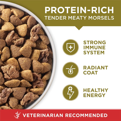 Lamb and Rice Dry Dog Food, 8 lb Bag