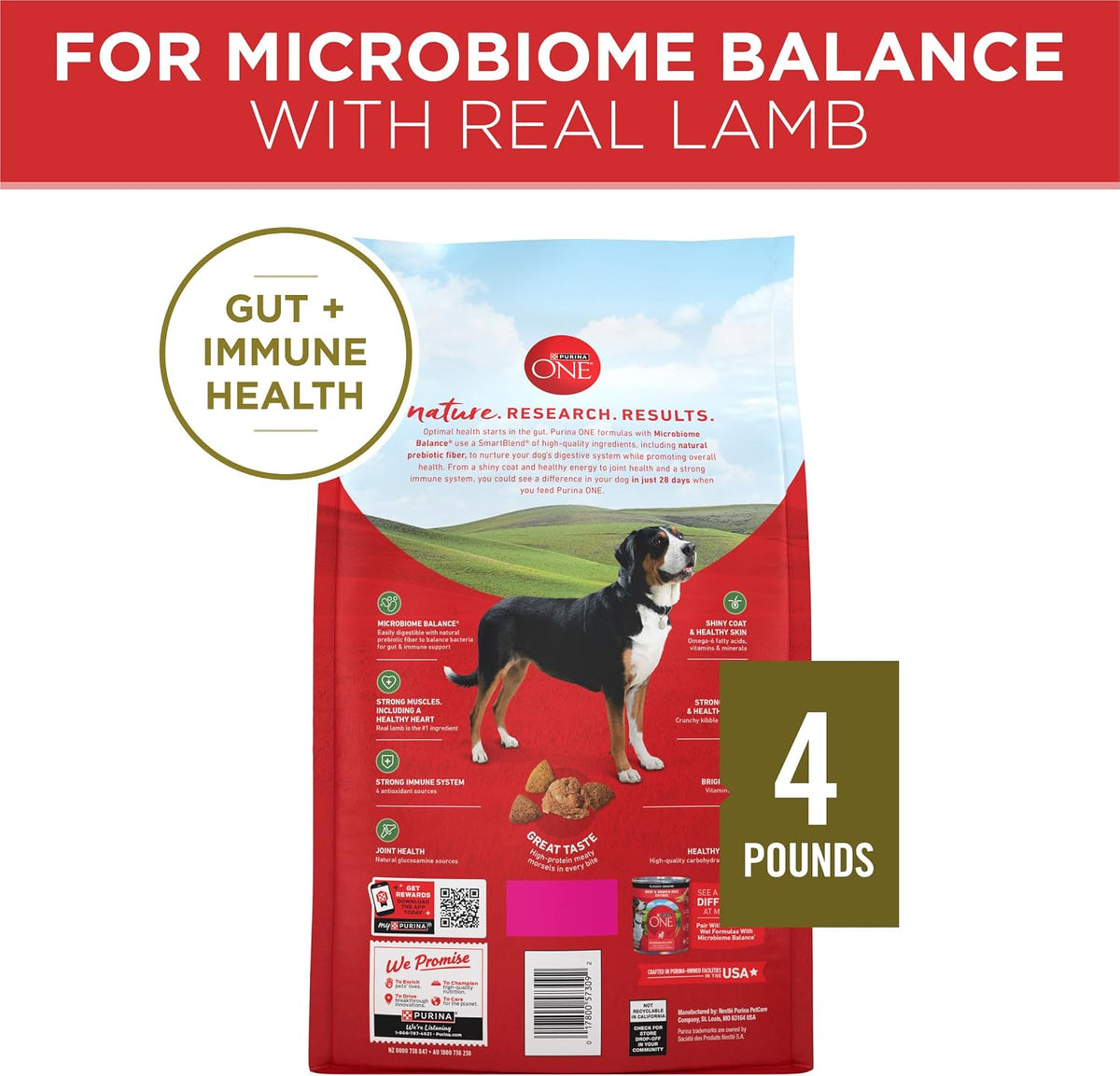 Lamb and Rice Dry Dog Food, 8 lb Bag