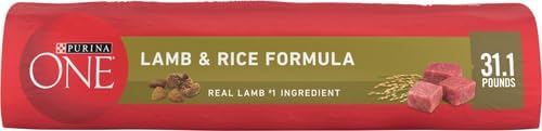 Lamb and Rice Dry Dog Food, 8 lb Bag