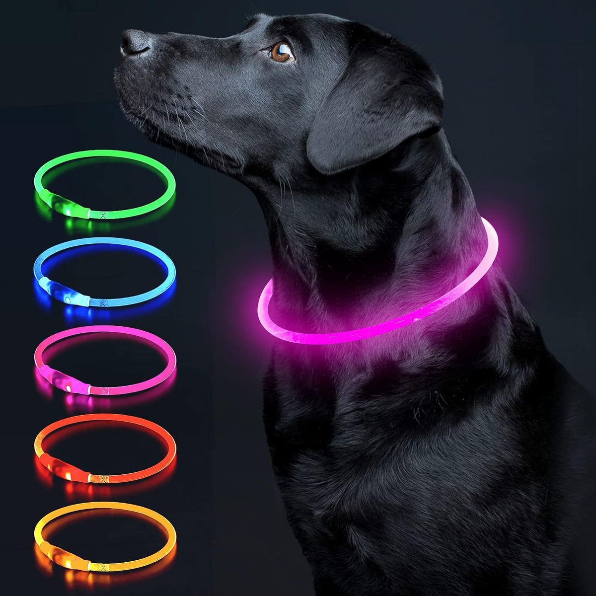 Light Up Dog Collar, USB Rechargeable LED Glow, Pink
