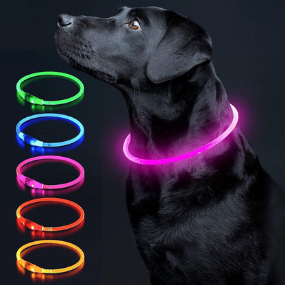Light Up Dog Collar, USB Rechargeable LED Glow, Pink