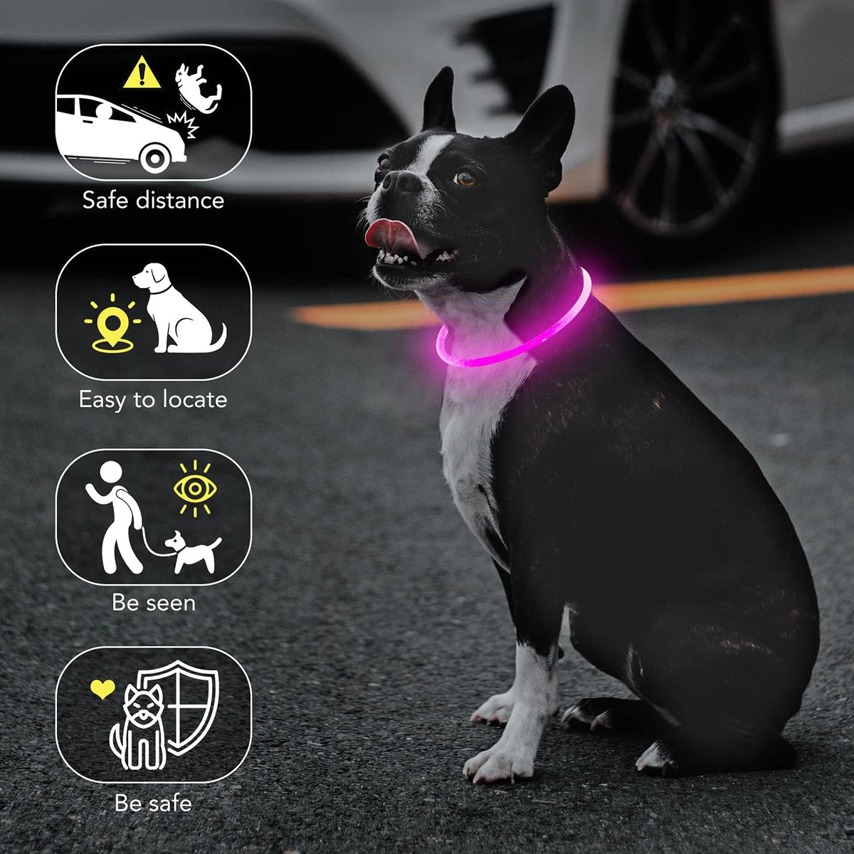 Light Up Dog Collar, USB Rechargeable LED Glow, Pink