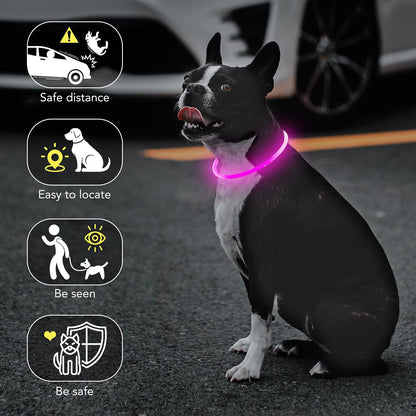 Light Up Dog Collar, USB Rechargeable LED Glow, Pink
