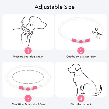 Light Up Dog Collar, USB Rechargeable LED Glow, Pink