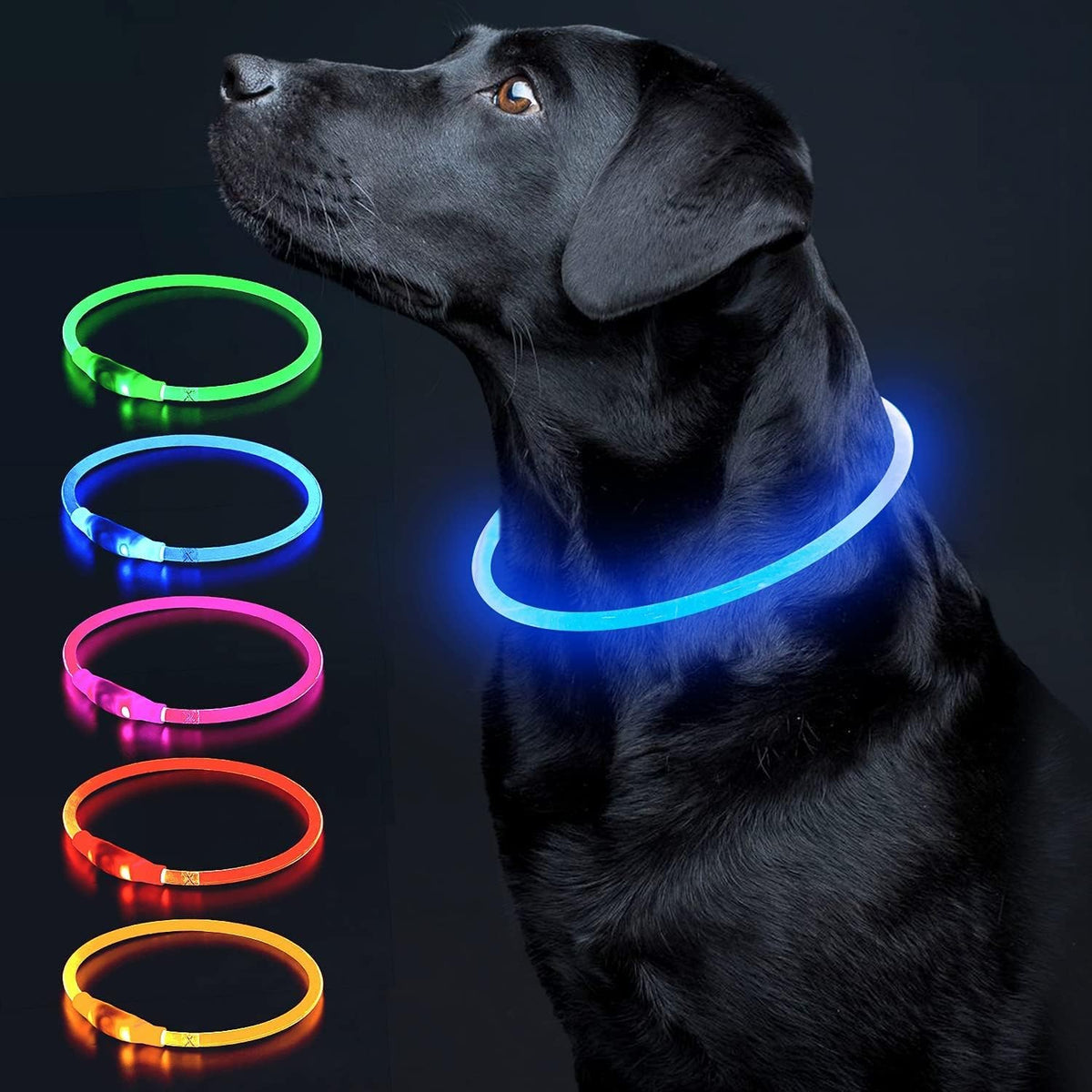 Light Up Dog Collar, USB Rechargeable LED Glow, Pink