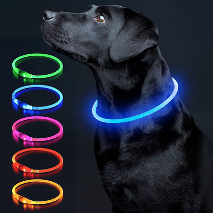 Light Up Dog Collar, USB Rechargeable LED Glow, Pink