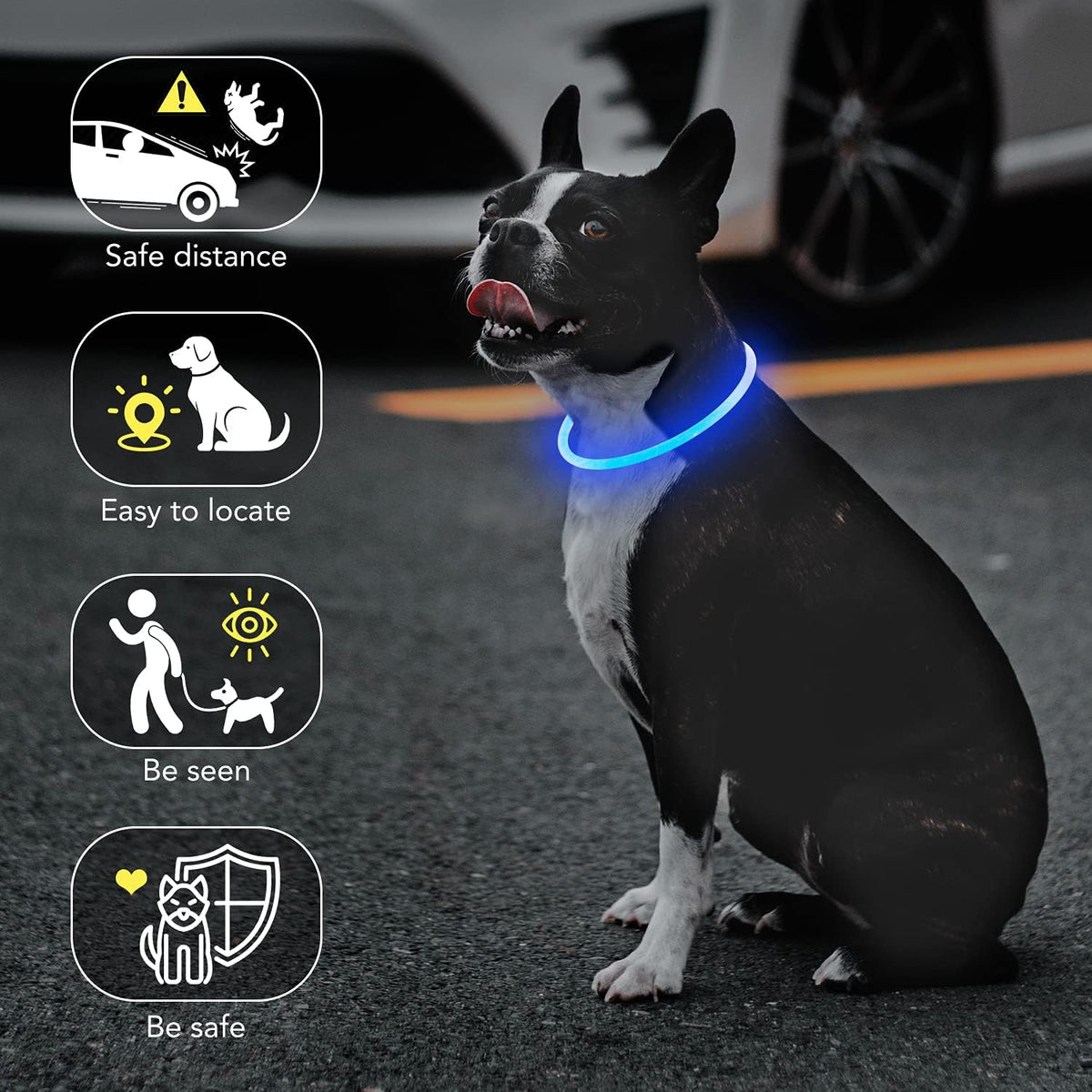 Light Up Dog Collar, USB Rechargeable LED Glow, Pink