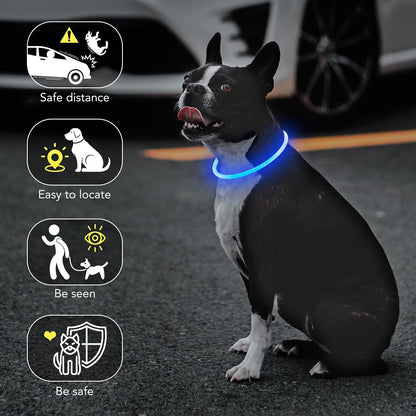 Light Up Dog Collar, USB Rechargeable LED Glow, Pink