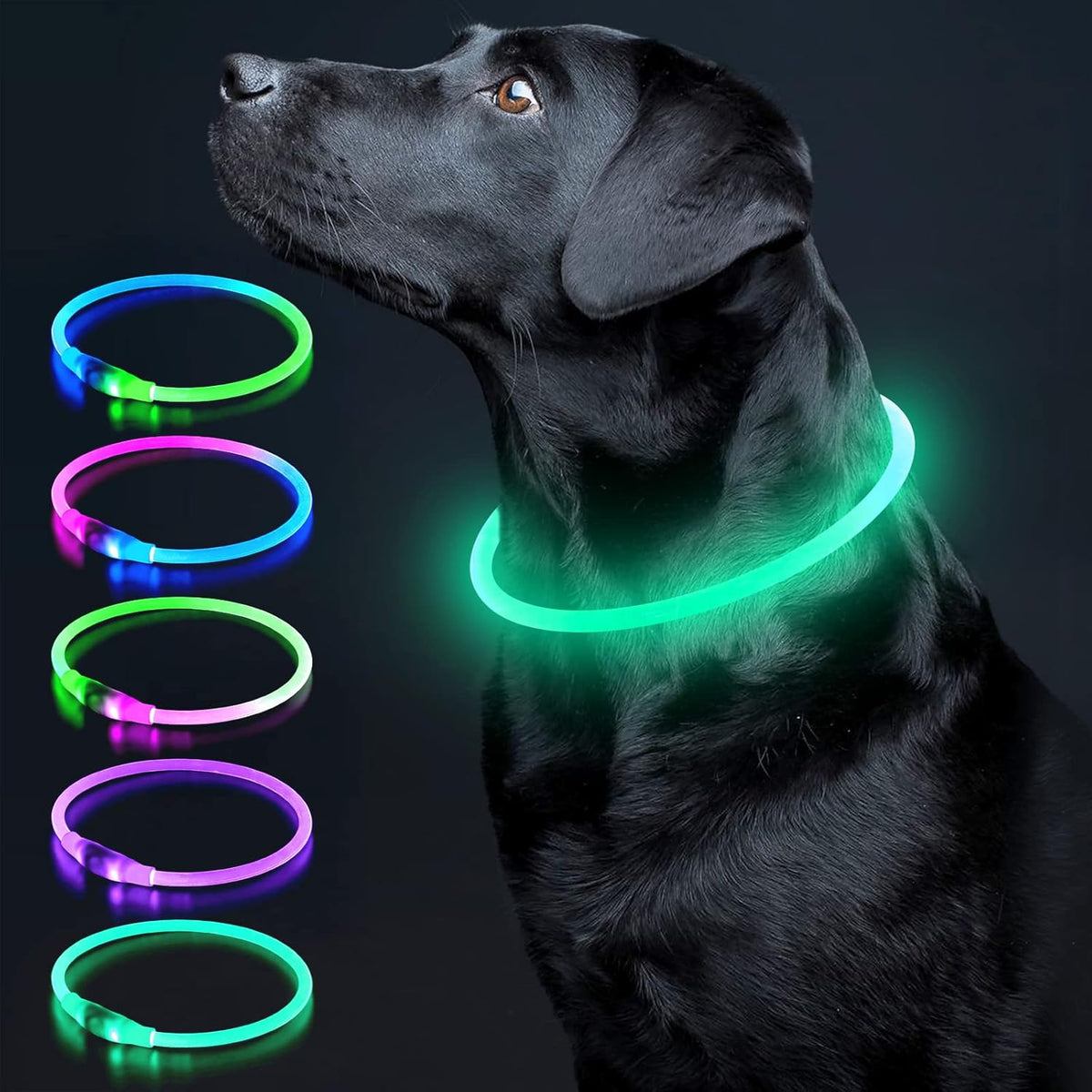 Light Up Dog Collar, USB Rechargeable LED Glow, Pink