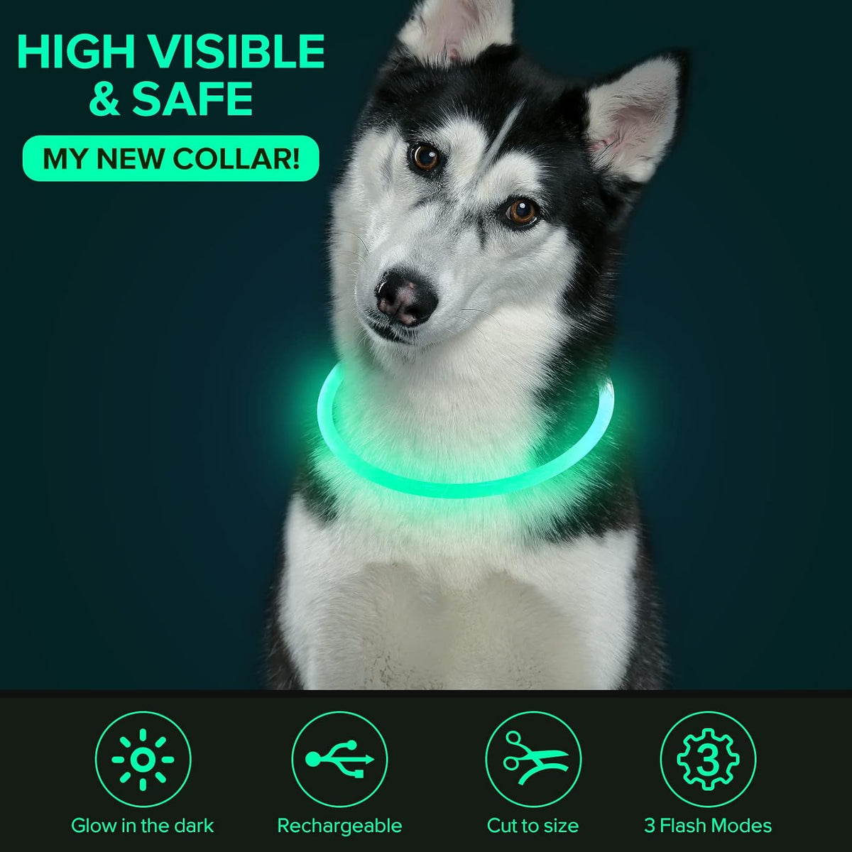 Light Up Dog Collar, USB Rechargeable LED Glow, Pink