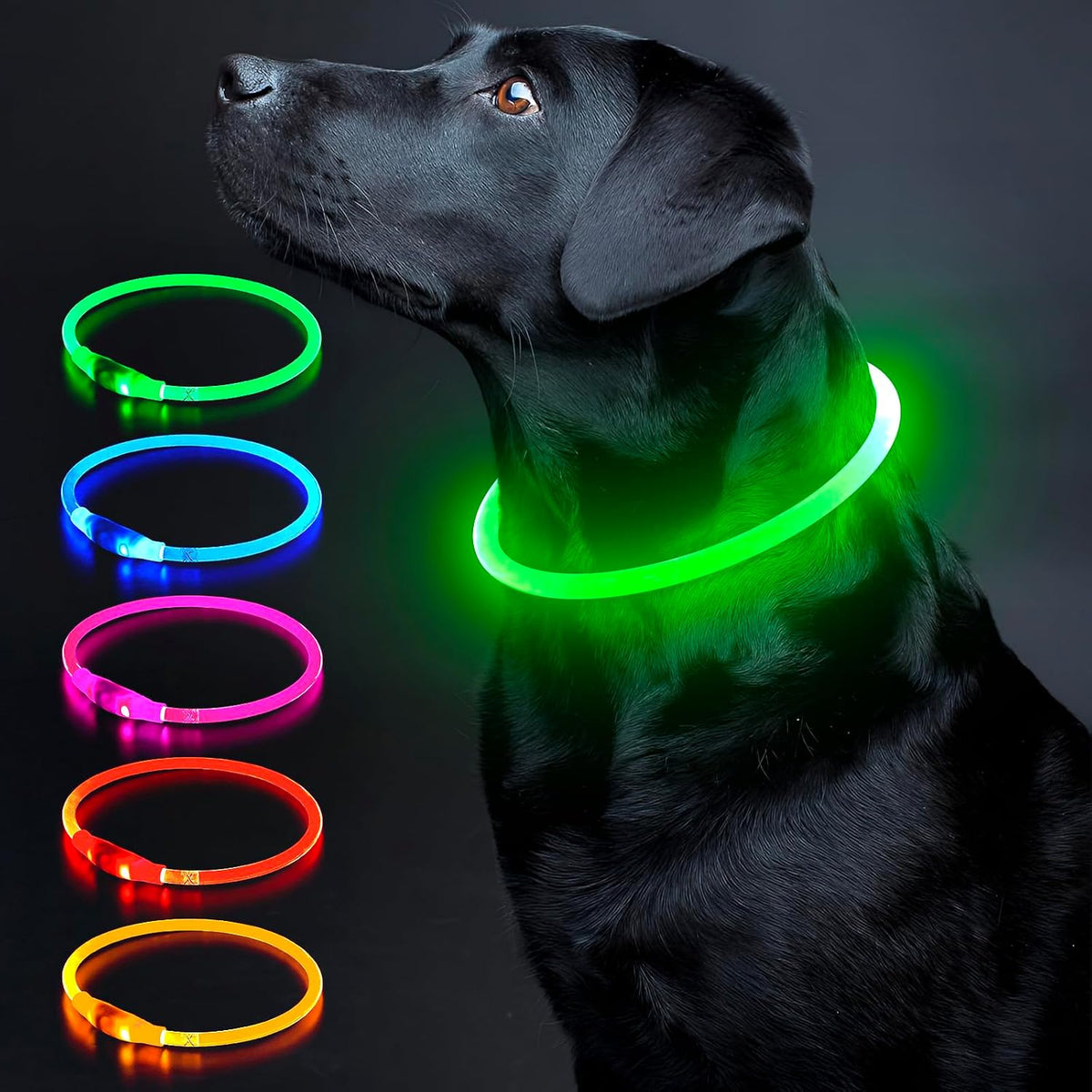 Light Up Dog Collar, USB Rechargeable LED Glow, Pink