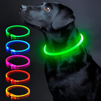 Light Up Dog Collar, USB Rechargeable LED Glow, Pink