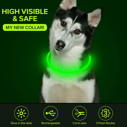 Light Up Dog Collar, USB Rechargeable LED Glow, Pink