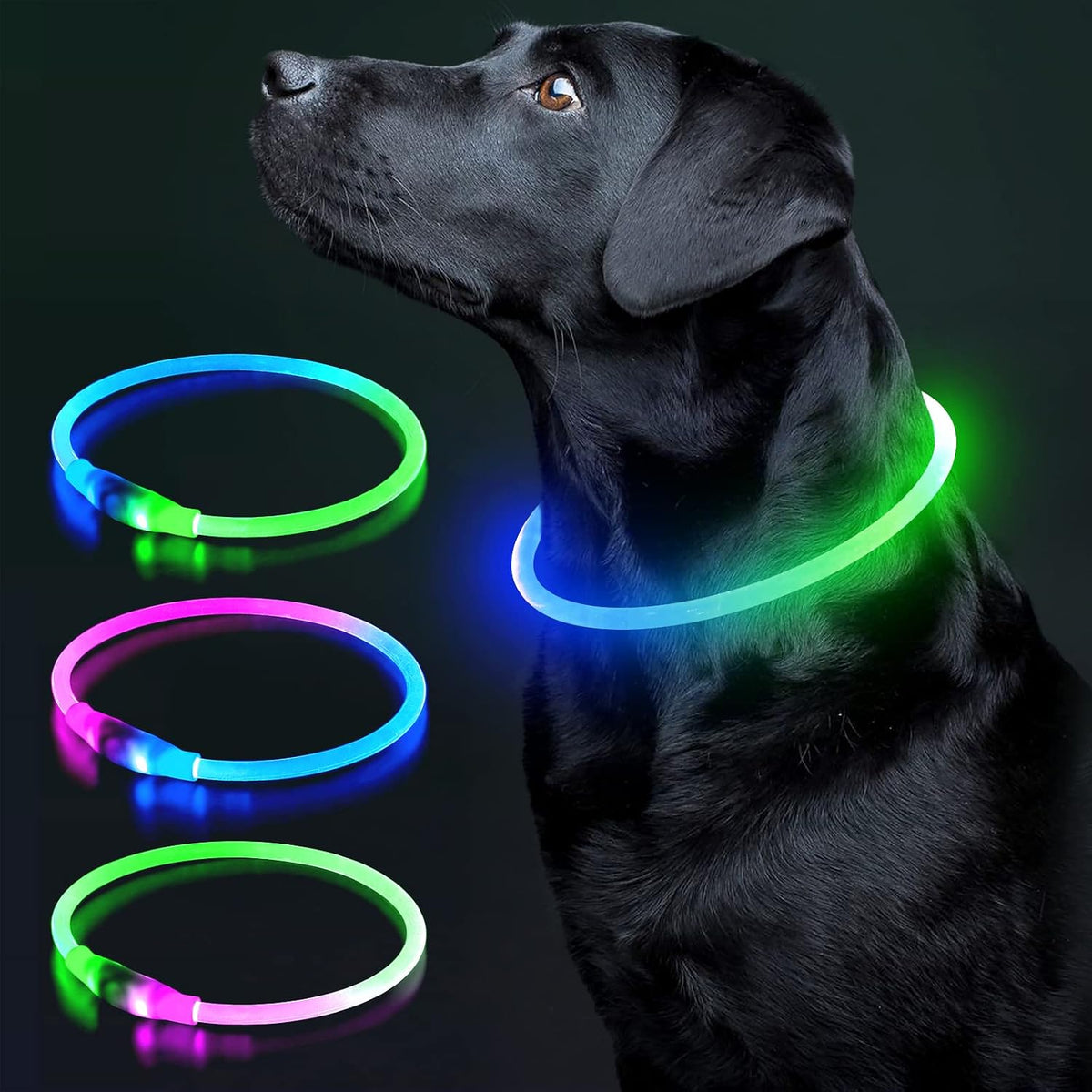 Light Up Dog Collar, USB Rechargeable LED Glow, Pink