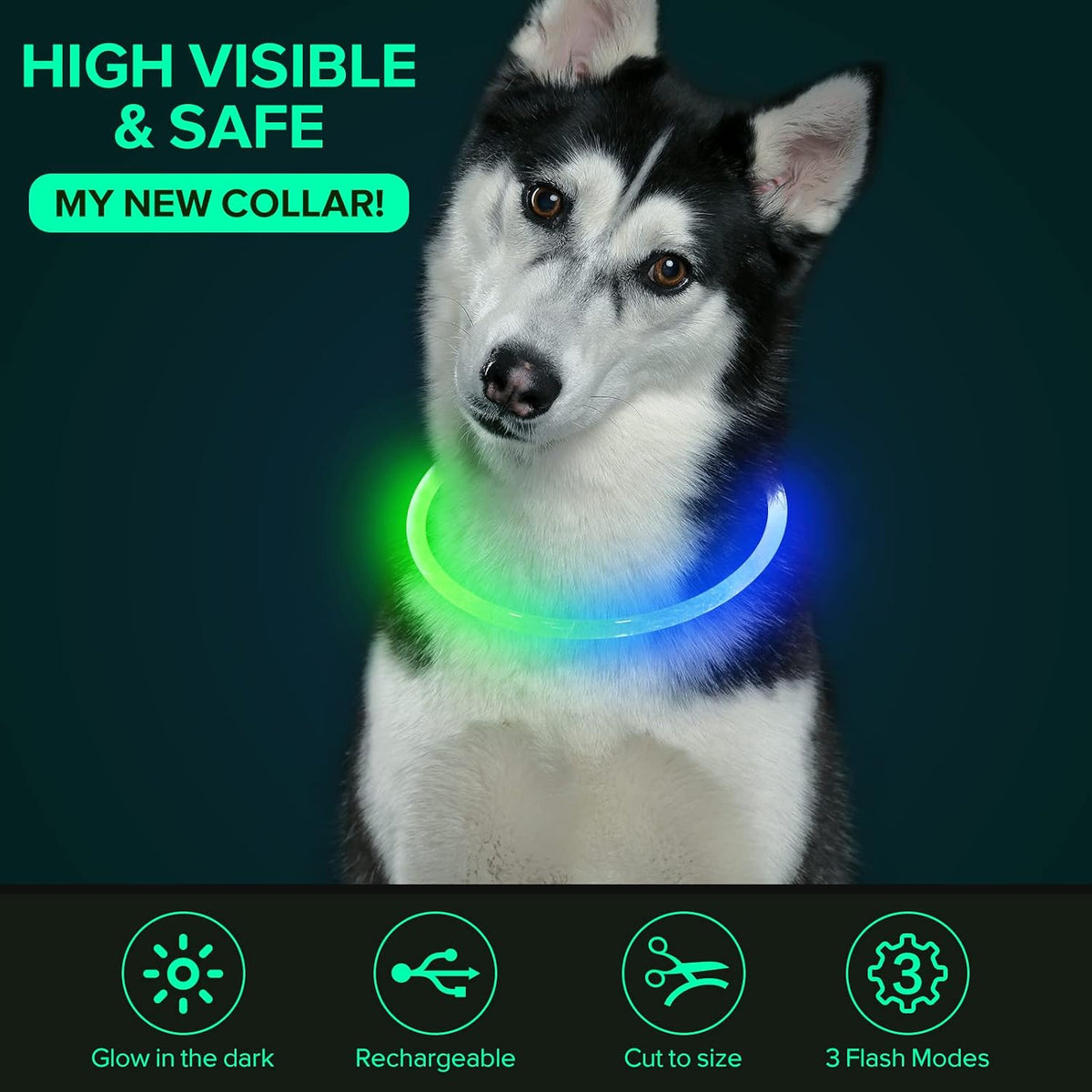 Light Up Dog Collar, USB Rechargeable LED Glow, Pink