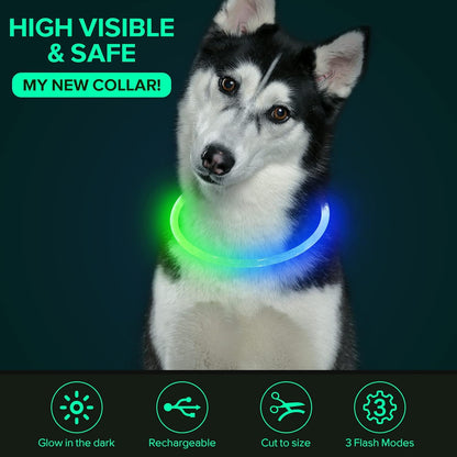Light Up Dog Collar, USB Rechargeable LED Glow, Pink
