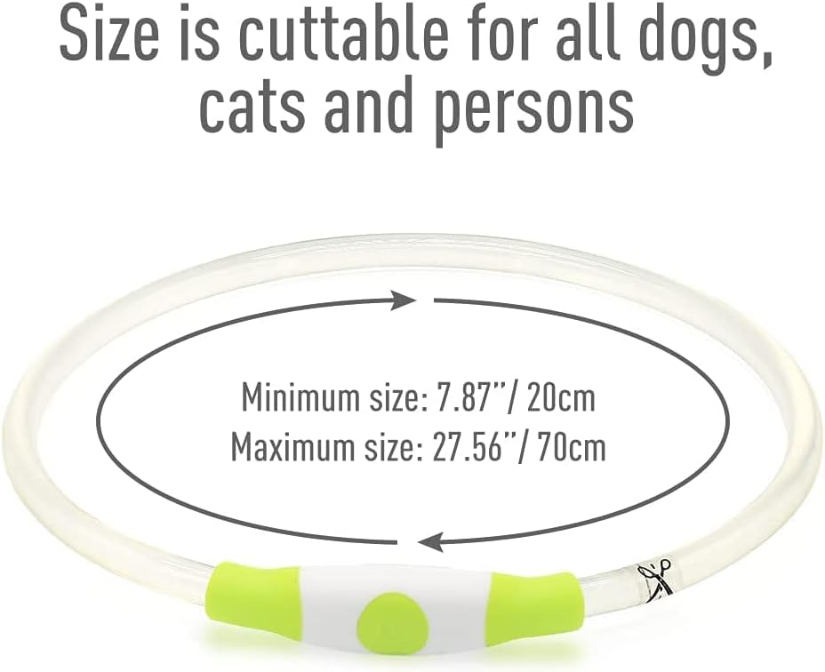 Light Up Dog Collar, USB Rechargeable LED Glow, Pink