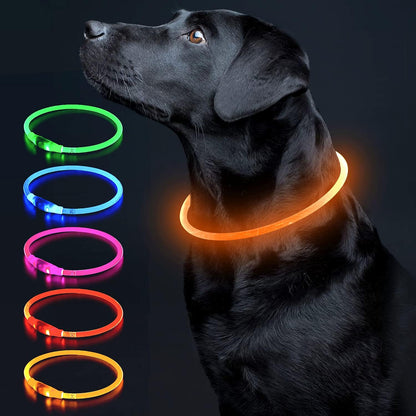 Light Up Dog Collar, USB Rechargeable LED Glow, Pink