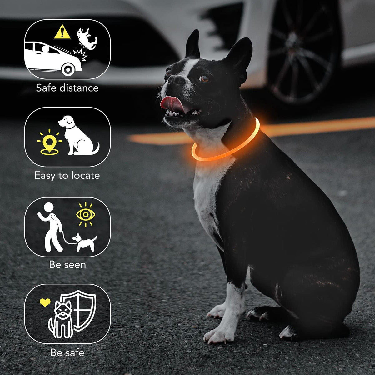 Light Up Dog Collar, USB Rechargeable LED Glow, Pink