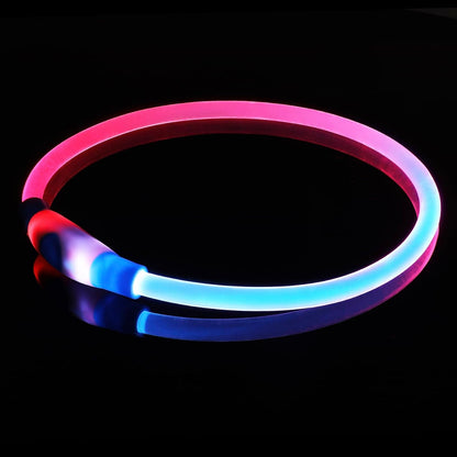 Light Up Dog Collar, USB Rechargeable LED Glow, Pink