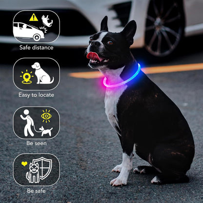 Light Up Dog Collar, USB Rechargeable LED Glow, Pink