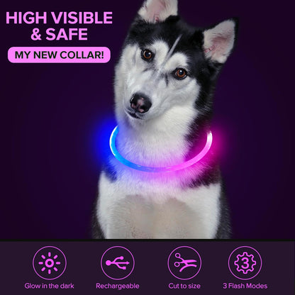 Light Up Dog Collar, USB Rechargeable LED Glow, Pink