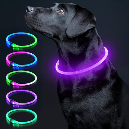 Light Up Dog Collar, USB Rechargeable LED Glow, Pink