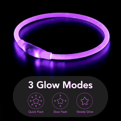 Light Up Dog Collar, USB Rechargeable LED Glow, Pink