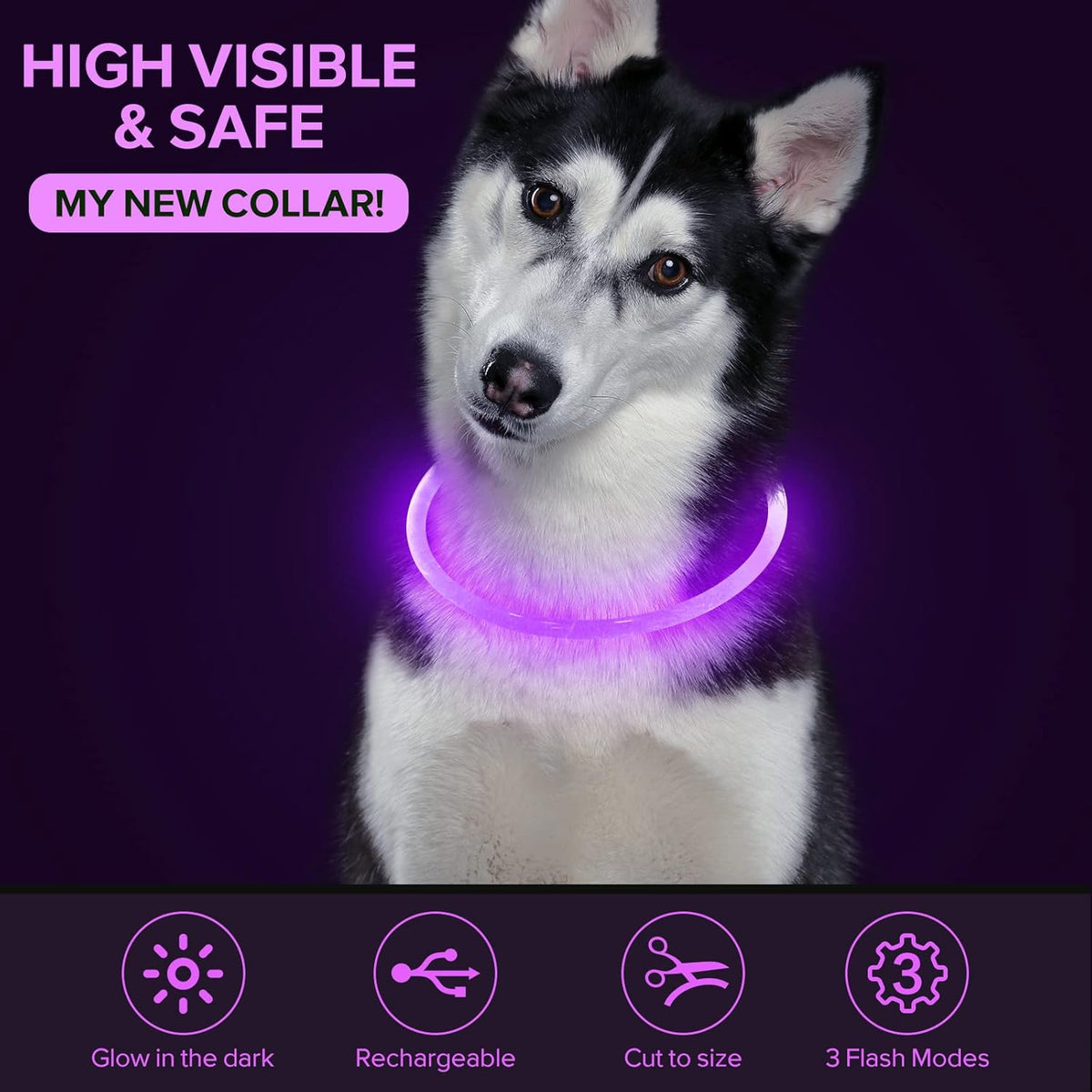 Light Up Dog Collar, USB Rechargeable LED Glow, Pink