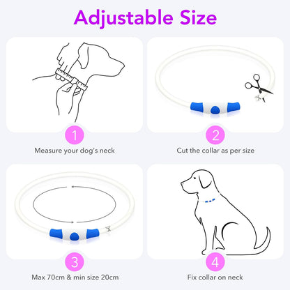 Light Up Dog Collar, USB Rechargeable LED Glow, Pink