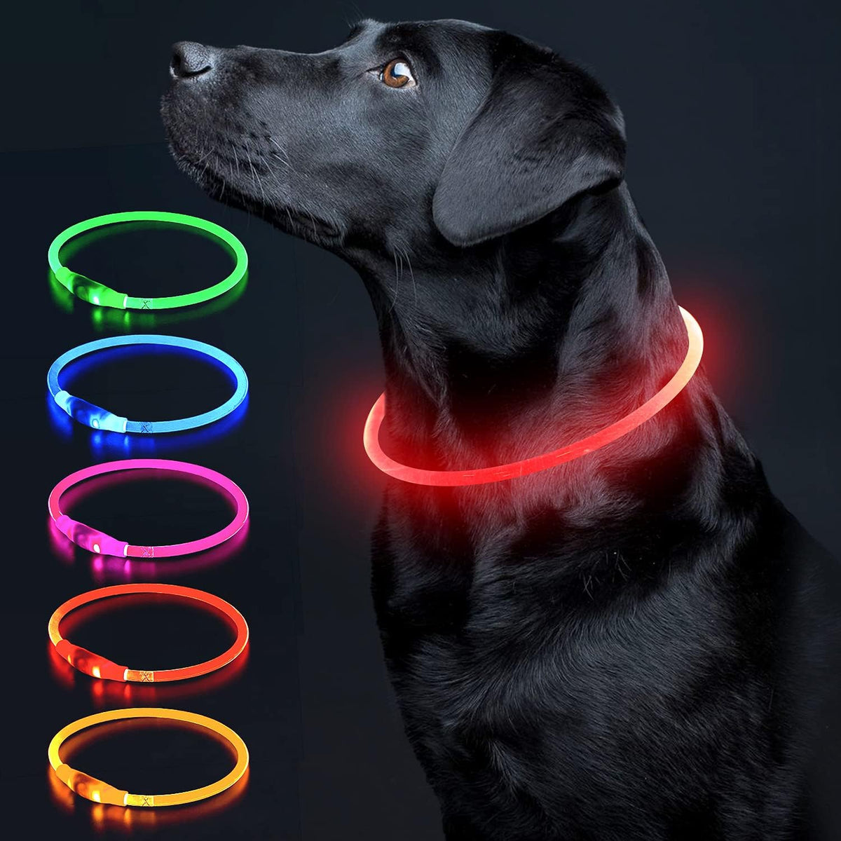 Light Up Dog Collar, USB Rechargeable LED Glow, Pink