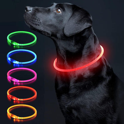 Light Up Dog Collar, USB Rechargeable LED Glow, Pink