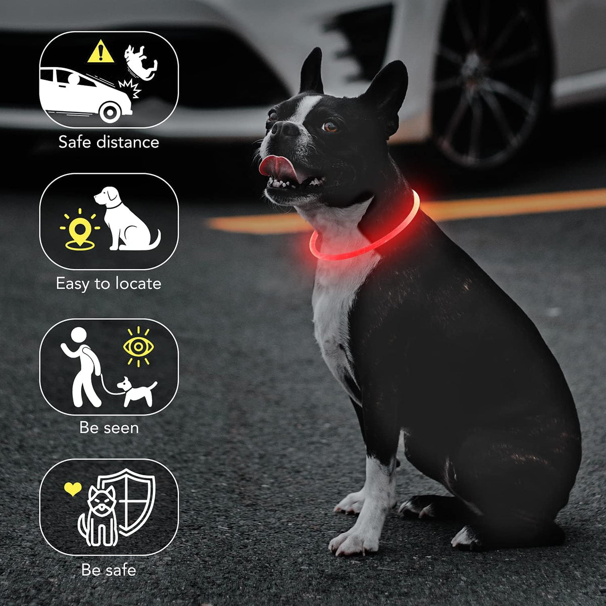 Light Up Dog Collar, USB Rechargeable LED Glow, Pink