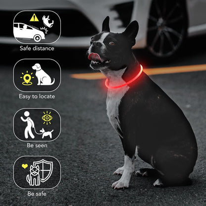 Light Up Dog Collar, USB Rechargeable LED Glow, Pink