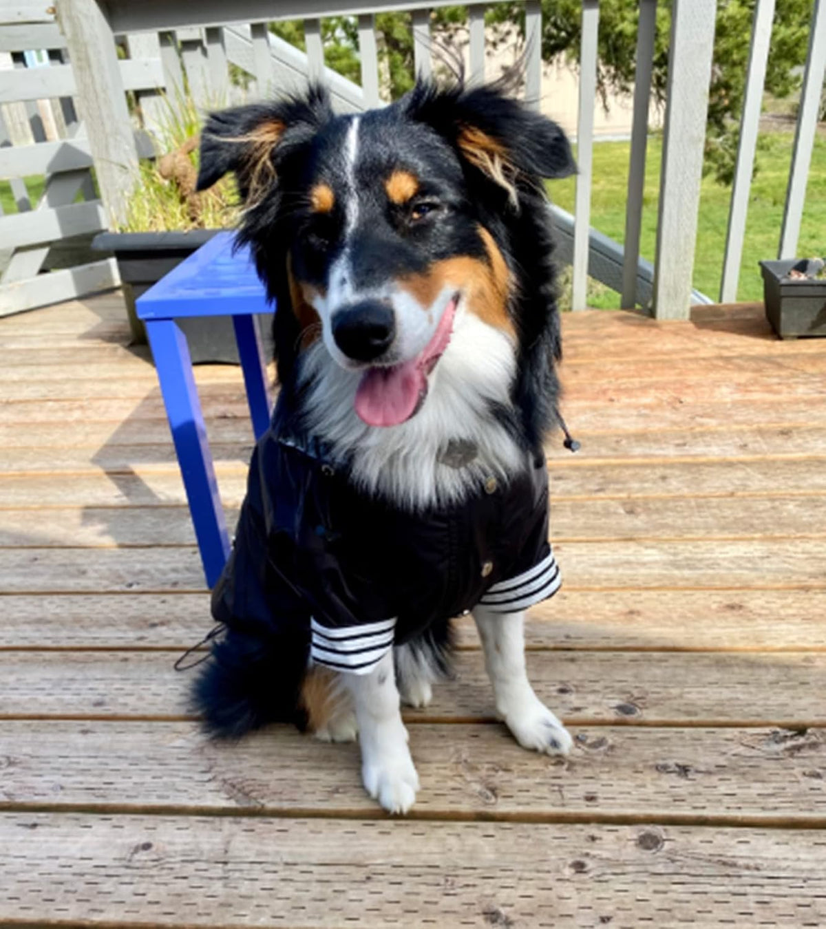 Dog Zip Up Raincoat with Reflective Buttons, Rain/Water Resistant, Adjustable Drawstring, Removable Hood, Raincoats with Legs 8lbs to 80lbs Available - Yellow - L