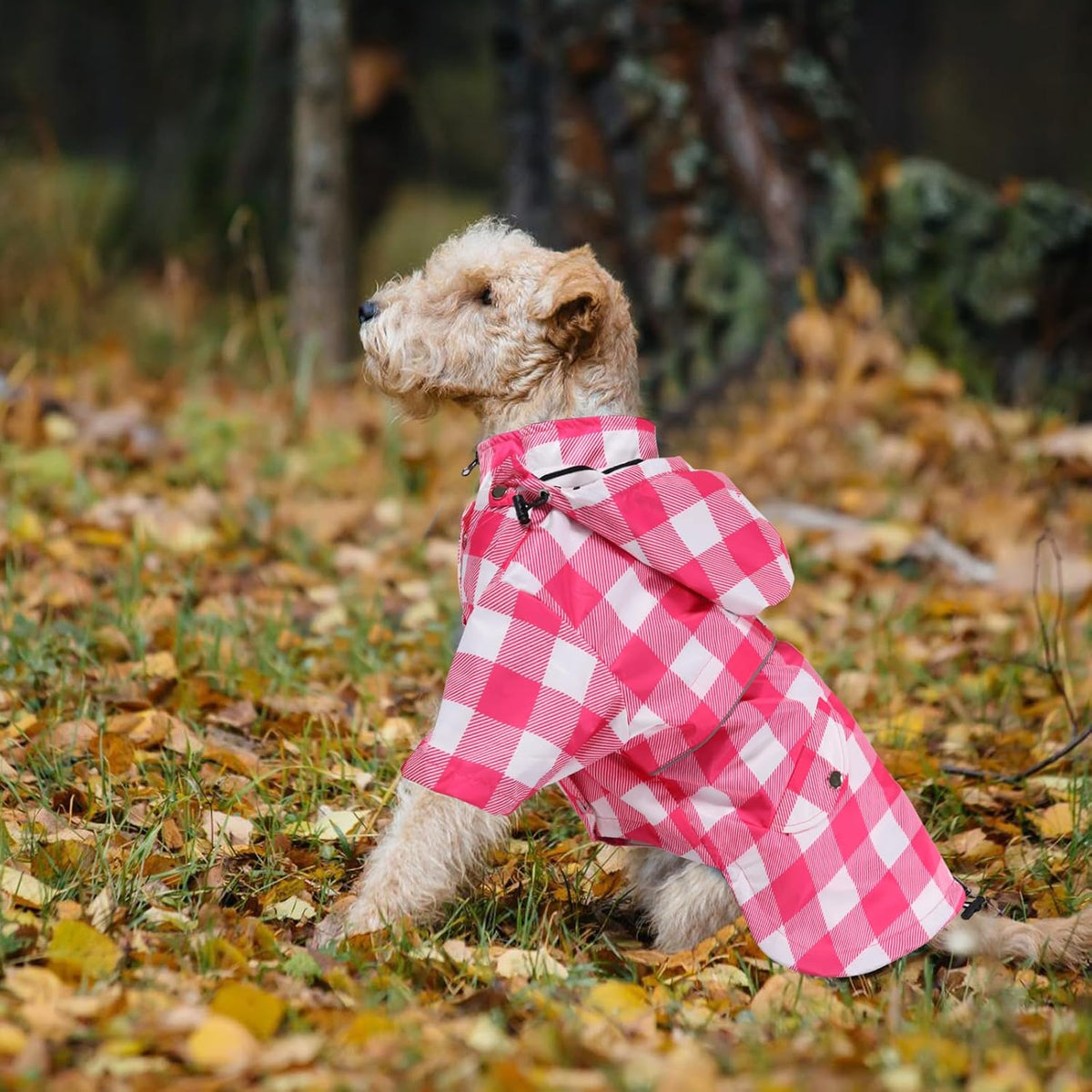 Dog Zip Up Raincoat with Reflective Buttons, Rain/Water Resistant, Adjustable Drawstring, Removable Hood, Raincoats with Legs 8lbs to 80lbs Available - Yellow - L