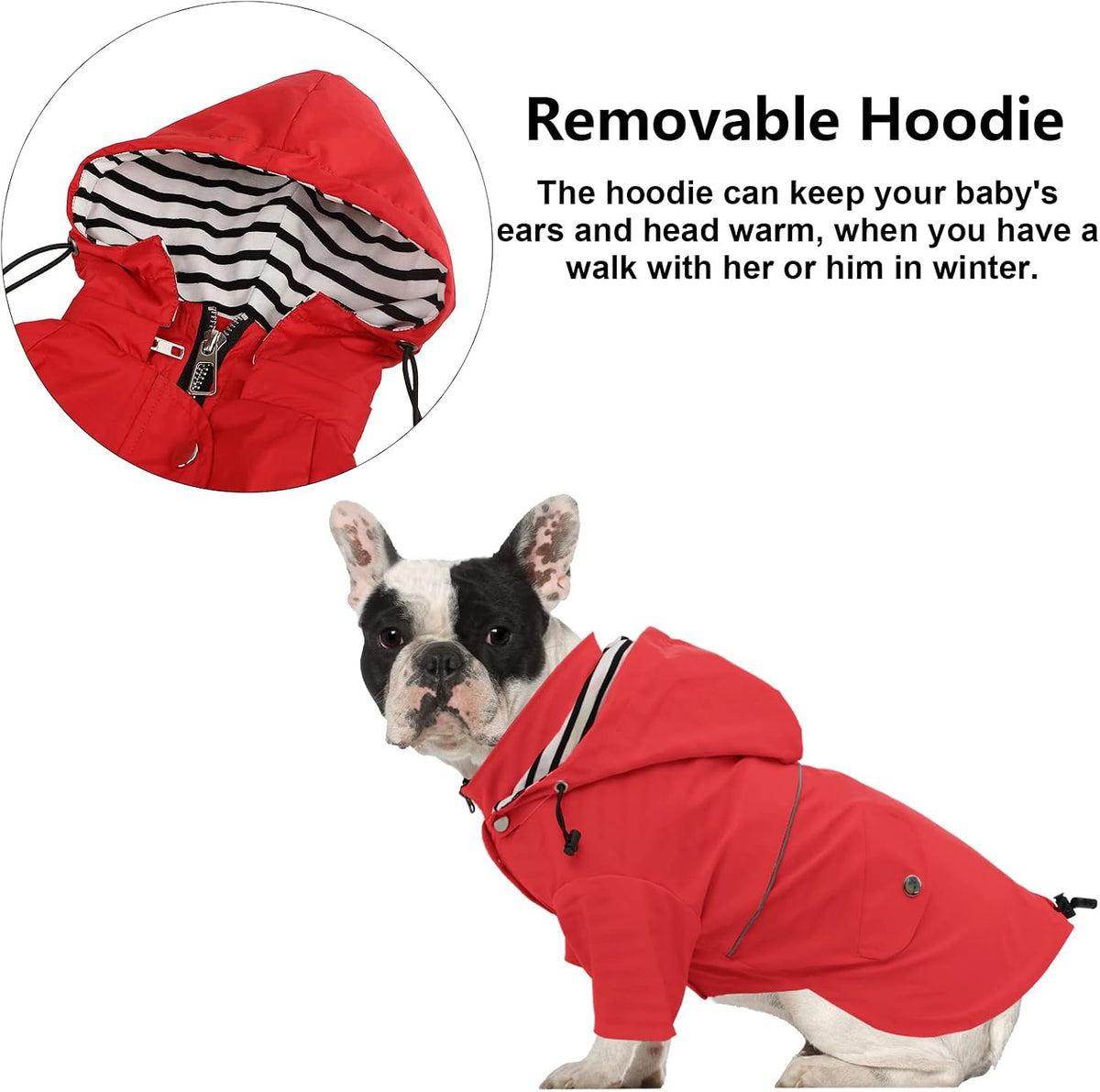 Dog Zip Up Raincoat with Reflective Buttons, Rain/Water Resistant, Adjustable Drawstring, Removable Hood, Raincoats with Legs 8lbs to 80lbs Available - Yellow - L