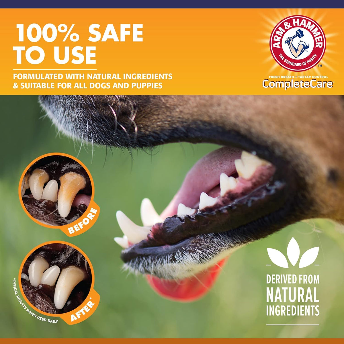 Complete Care Puppy Toothpaste, Peanut Butter, 6.2 Oz | Fluoride-free, non-toxic formula with baking soda and calcium controls tartar for growing puppies