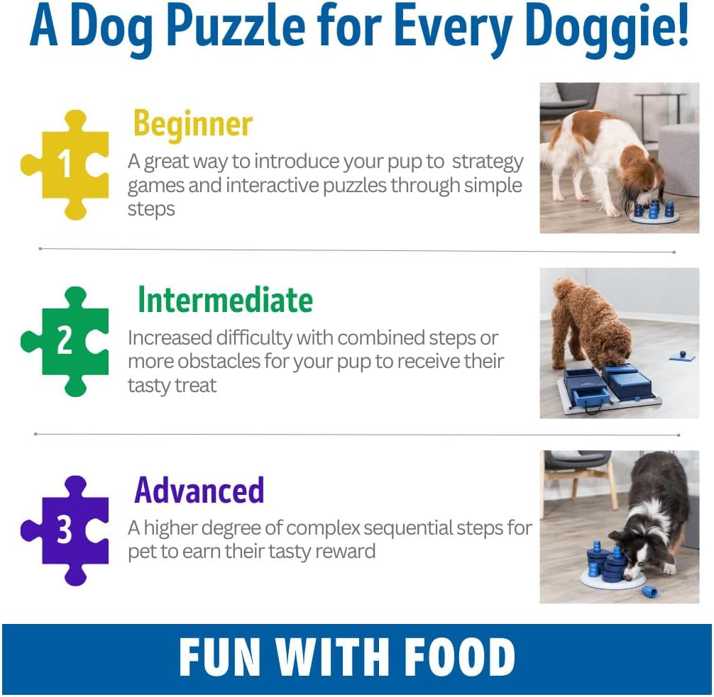 Turn Around - Mad Scientist Dog Activity Interactive Toy, Level 2 Food Puzzle Game, Brain Teasing Treat Dispenser, IQ and Mental Development Toy for Smart Dogs, Enrichment Toy for Boredom Busting
