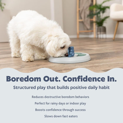 Turn Around - Mad Scientist Dog Activity Interactive Toy, Level 2 Food Puzzle Game, Brain Teasing Treat Dispenser, IQ and Mental Development Toy for Smart Dogs, Enrichment Toy for Boredom Busting
