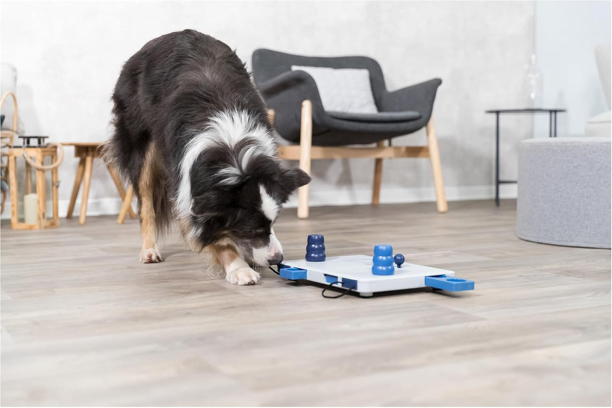 Turn Around - Mad Scientist Dog Activity Interactive Toy, Level 2 Food Puzzle Game, Brain Teasing Treat Dispenser, IQ and Mental Development Toy for Smart Dogs, Enrichment Toy for Boredom Busting